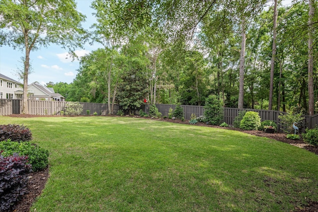 view of yard featuring a fenced backyard