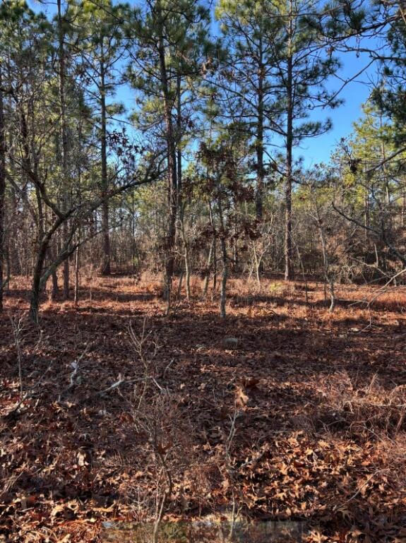 TBD Whitetail Dr, Williston SC, 29853 land for sale