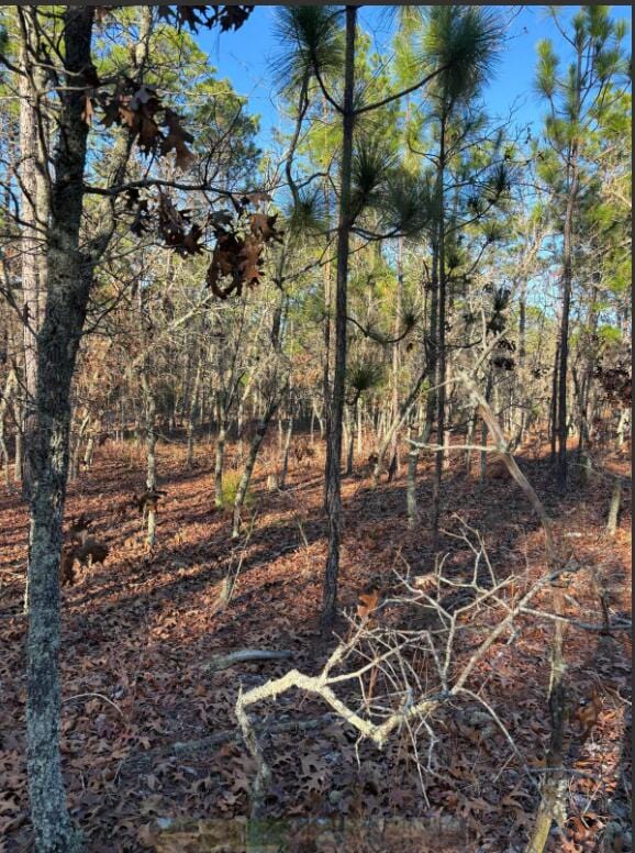 Listing photo 3 for TBD Whitetail Dr, Williston SC 29853