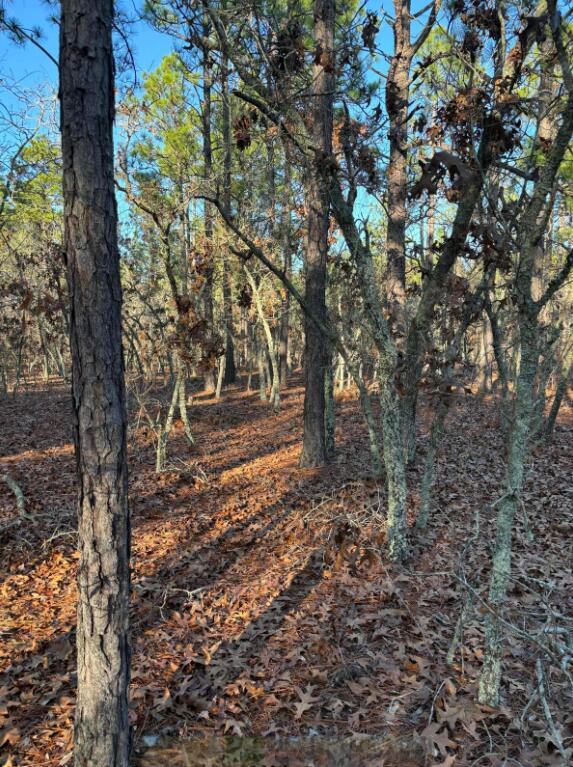 Listing photo 2 for TBD Whitetail Dr, Williston SC 29853