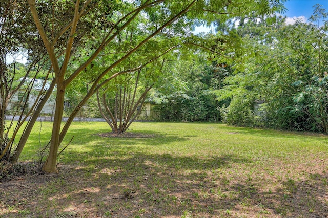 3003 Roxbury Ct, Augusta, GA 30906 - photo 36