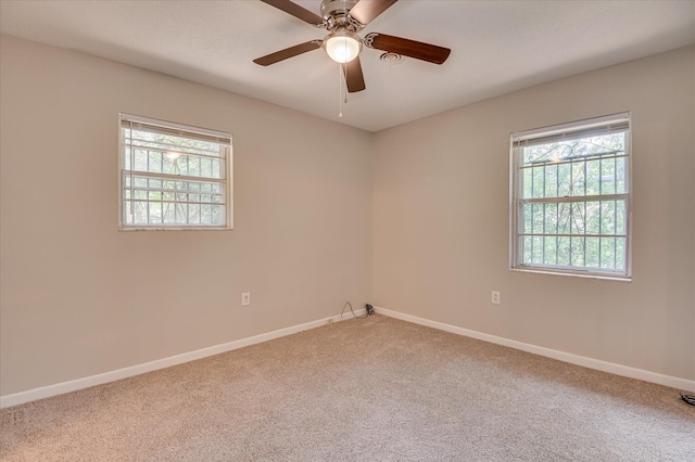 3003 Roxbury Ct, Augusta, GA 30906 - photo 17