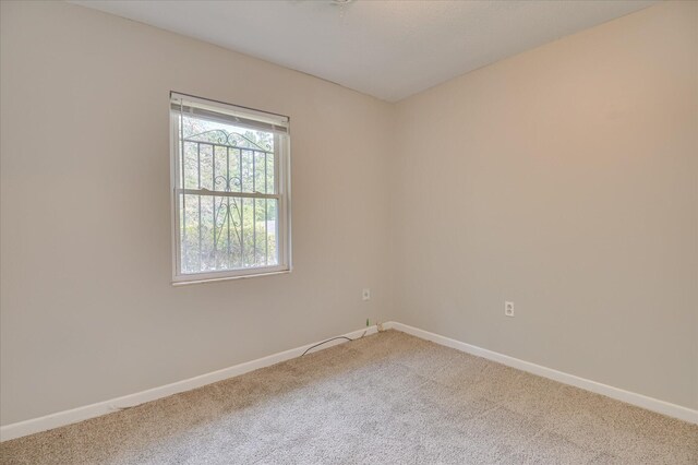 3003 Roxbury Ct, Augusta, GA 30906 - photo 22
