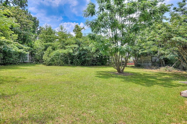 3003 Roxbury Ct, Augusta, GA 30906 - photo 32