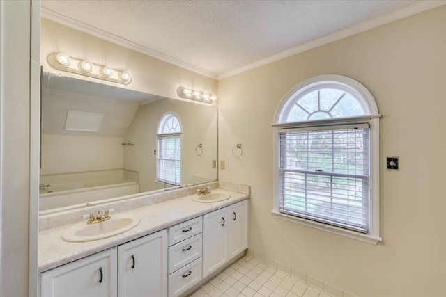 bathroom with a sink, a textured ceiling, double vanity, and crown molding