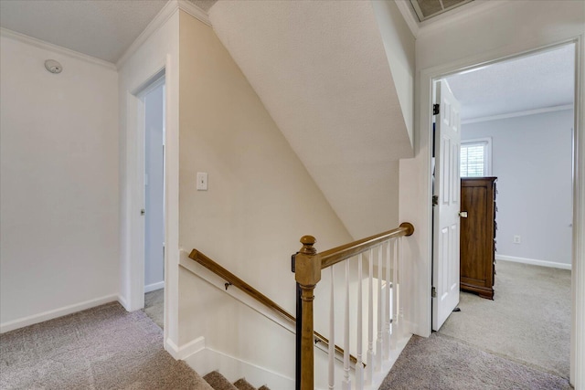 stairway featuring carpet floors and ornamental molding