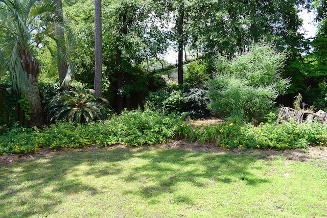 3018 Hillcreek Dr, Augusta, GA 30909 - view of green lawn