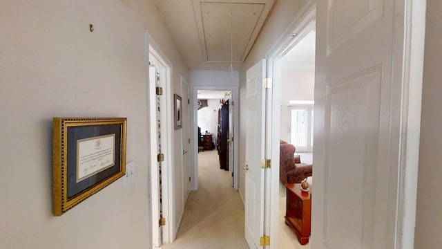 3018 Hillcreek Dr, Augusta, GA 30909 - corridor with attic access and light colored carpet