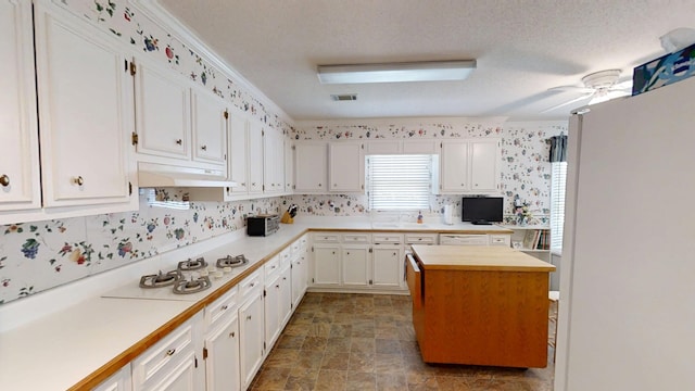 3018 Hillcreek Dr, Augusta, GA 30909 - kitchen with white cabinets, under cabinet range hood, a ceiling fan, stone finish flooring, and a textured ceiling