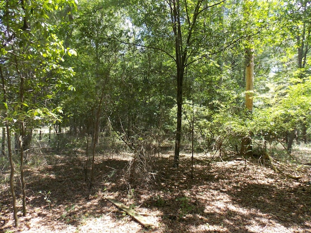 0REEN Greenbrier Rd, Thomson GA, 30824 land for sale