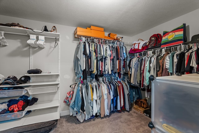 spacious closet featuring carpet