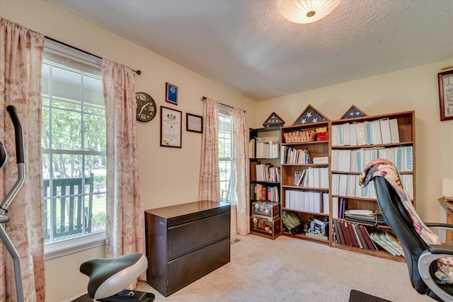 101 Hartwell Dr, Aiken, SC 29803 - office featuring carpet floors, healthy amount of natural light, and a textured ceiling