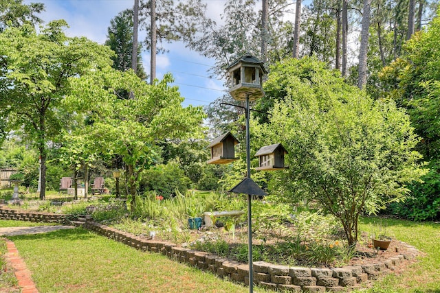 101 Hartwell Dr, Aiken, SC 29803 - view of yard featuring view of scattered trees