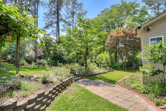 101 Hartwell Dr, Aiken, SC 29803 - view of grassy yard