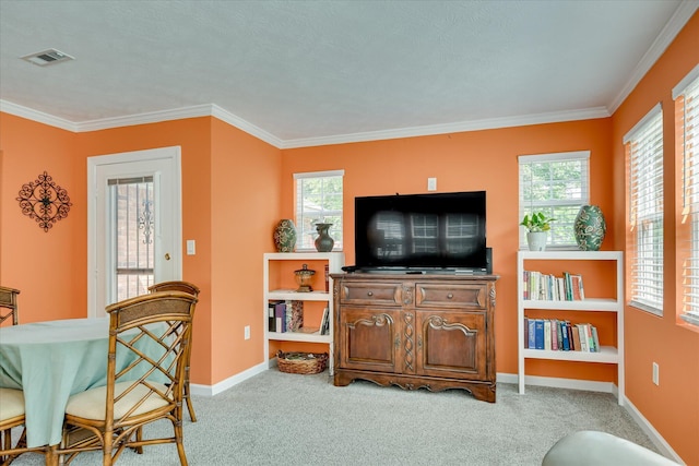 101 Hartwell Dr, Aiken, SC 29803 - carpeted living area featuring ornamental molding, healthy amount of natural light, and baseboards
