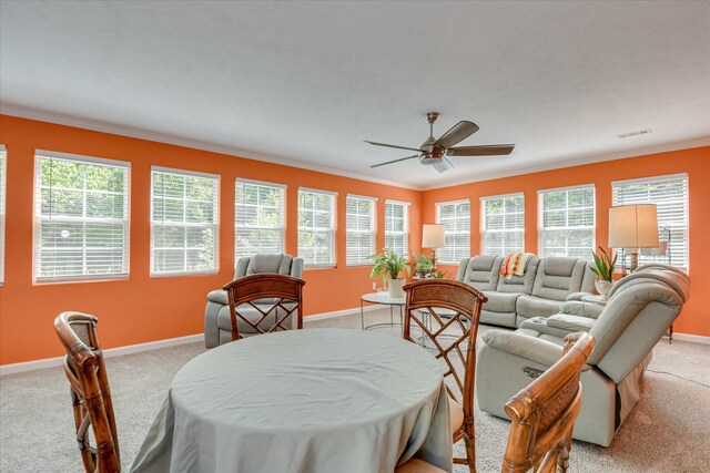 101 Hartwell Dr, Aiken, SC 29803 - dining room featuring light carpet, ornamental molding, baseboards, and a ceiling fan