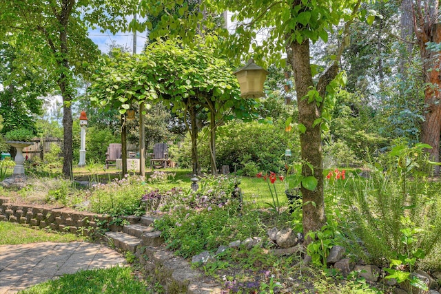 101 Hartwell Dr, Aiken, SC 29803 - view of yard
