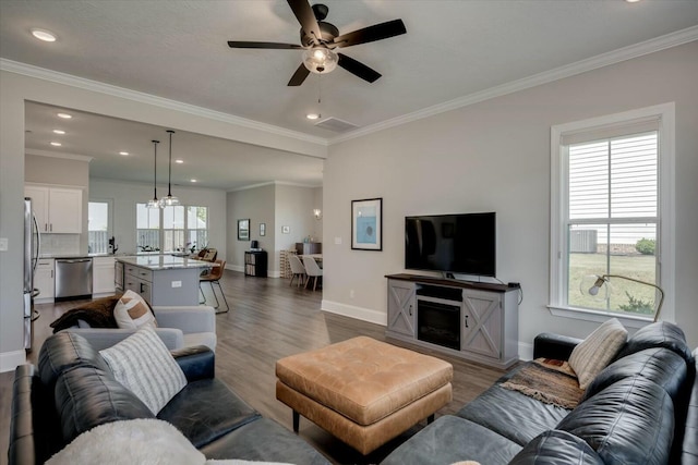 living room with a wealth of natural light, crown molding, and wood finished floors