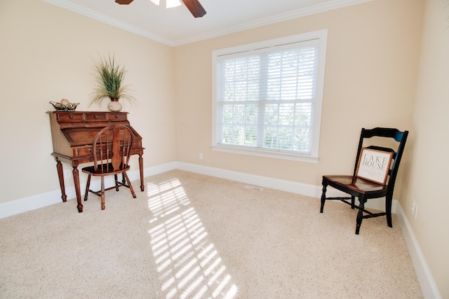 1010 Mohawk Dr, Lincolnton, GA 30817 - photo 36