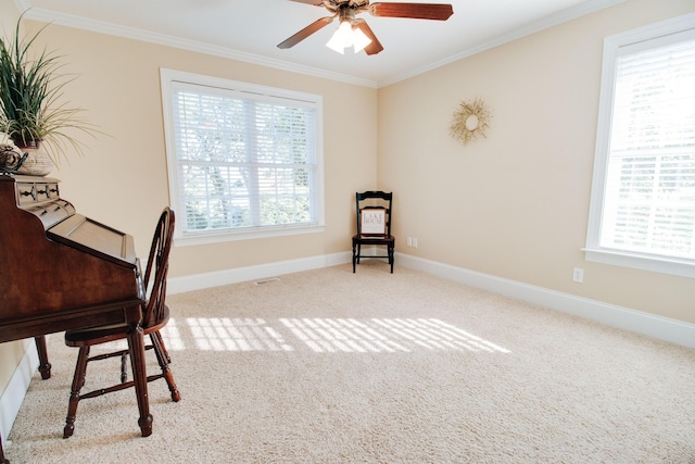 1010 Mohawk Dr, Lincolnton, GA 30817 - photo 35