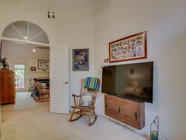 sitting room with carpet floors