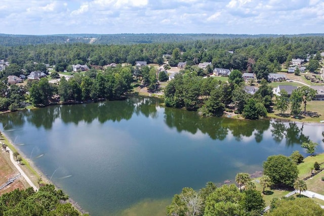 659 Slade Lk, North Augusta, SC 29841 - photo 14