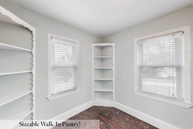 walk in closet with dark hardwood / wood-style flooring