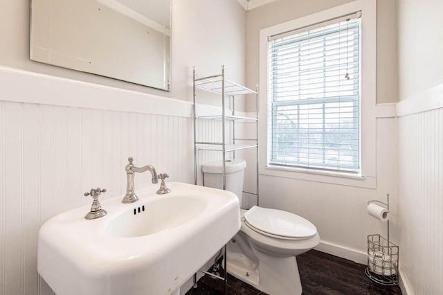 bathroom featuring wood-type flooring, sink, and toilet