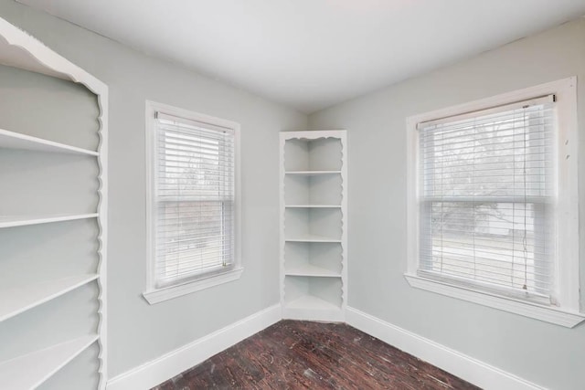 interior space with dark hardwood / wood-style floors