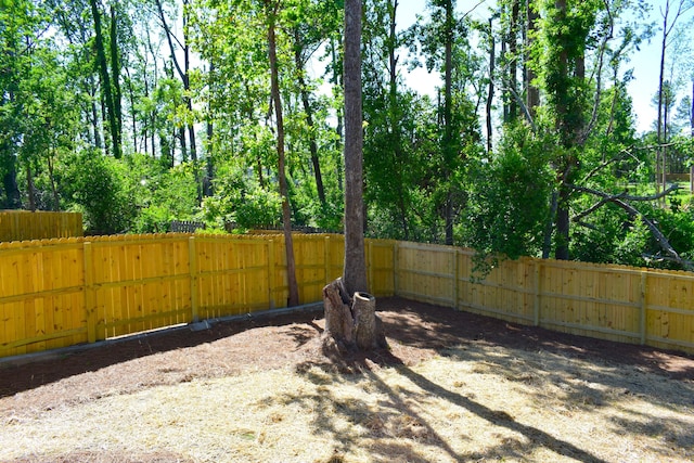 4154 Bent Tree Ln, Martinez, GA 30907 - view of yard