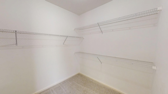 4154 Bent Tree Ln, Martinez, GA 30907 - walk in closet featuring light colored carpet
