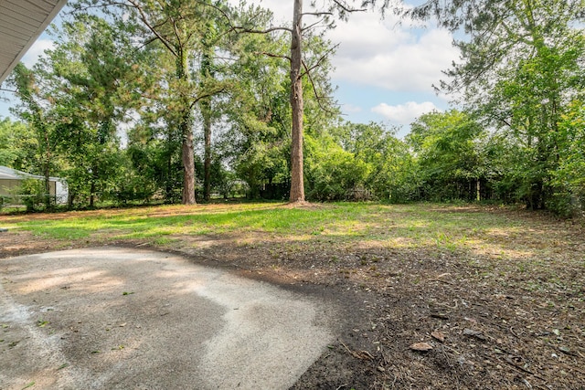 2512 Drayton Dr, Augusta, GA 30906 - view of yard
