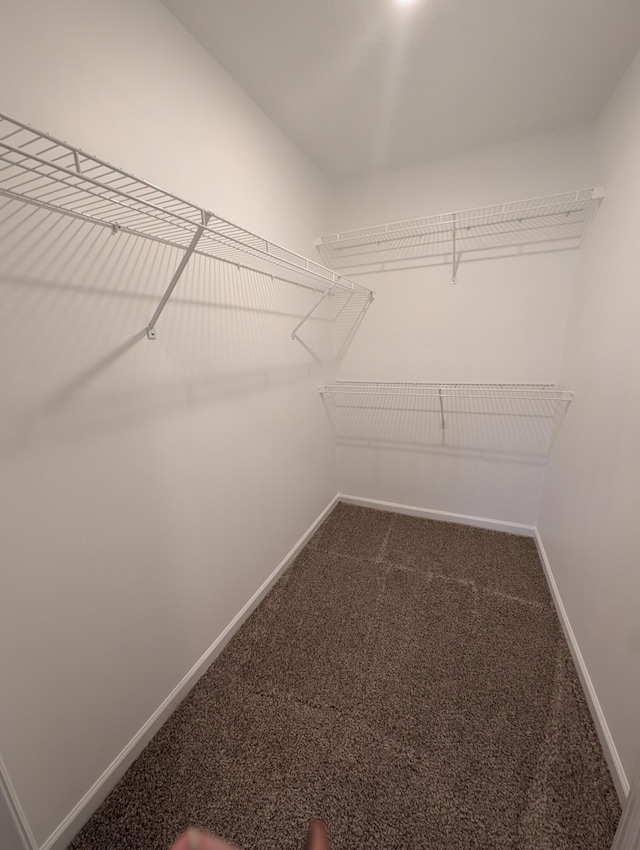 4331 Big Dipper Cir, Hephzibah, GA 30815 - spacious closet featuring dark carpet
