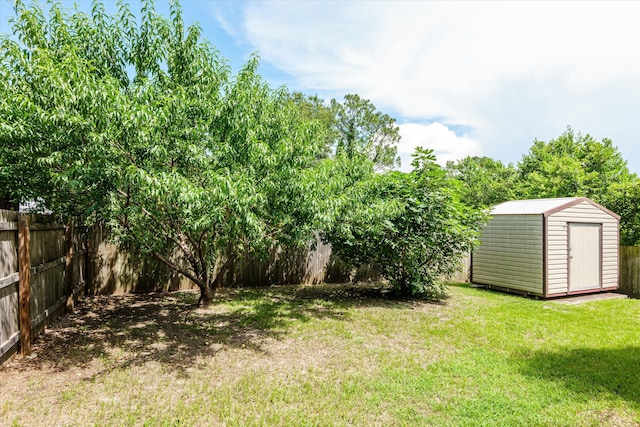 1216 Heard Ave, Augusta, GA 30904 - fenced backyard with a storage unit