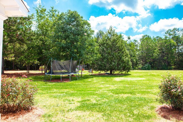 1420 Dunwoody Pl, Appling, GA 30802 - photo 58