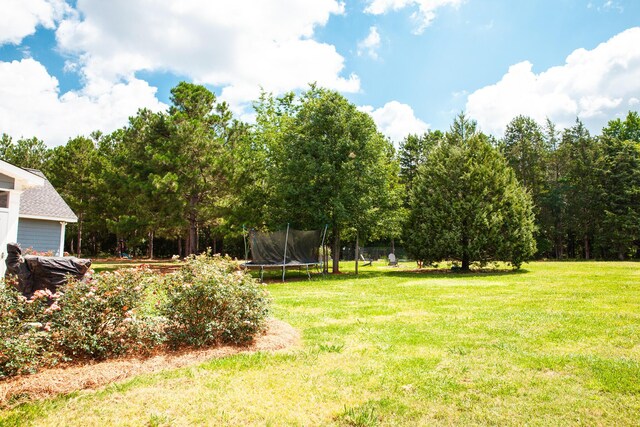 1420 Dunwoody Pl, Appling, GA 30802 - photo 54