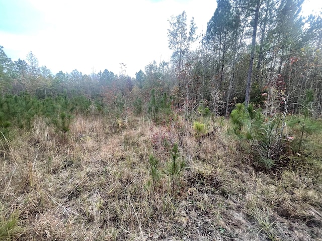 view of nature