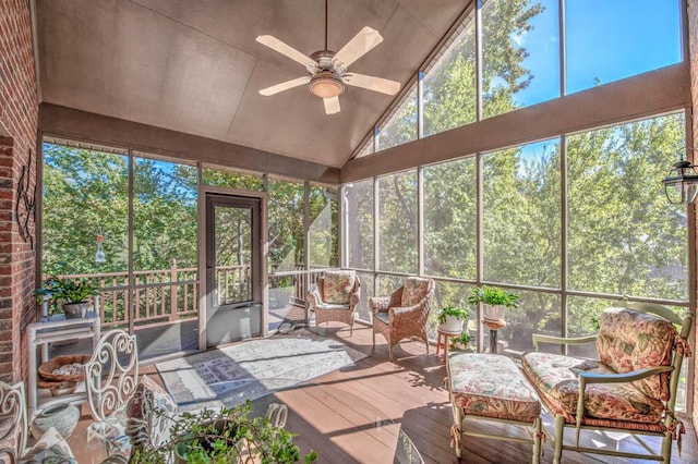 313 Live Oak Rd, Aiken, SC 29803 - photo 9
