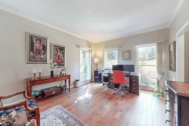 office space with crown molding, hardwood / wood-style floors, and a textured ceiling