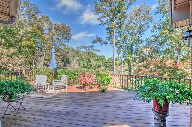 313 Live Oak Rd, Aiken, SC 29803 - photo 27