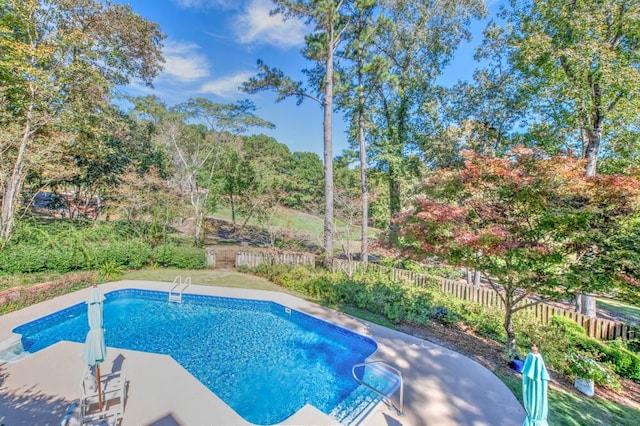 view of pool featuring a patio