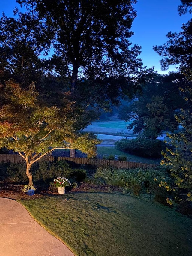 313 Live Oak Rd, Aiken, SC 29803 - view of grassy yard