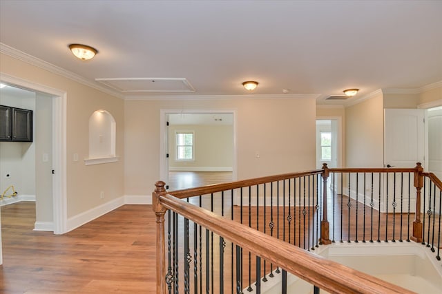 249 Pecan Grove Rd, North Augusta, SC 29860 - photo 34
