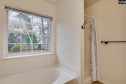 bathroom with a bathing tub