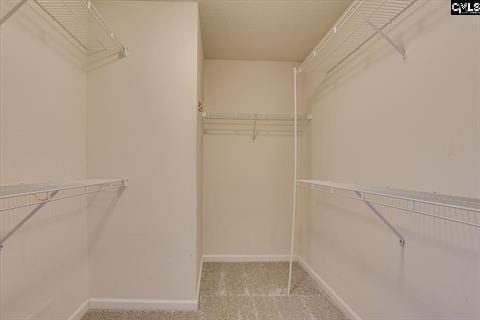 spacious closet featuring light carpet