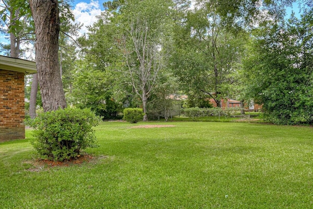 3609 Fairfax Ct, Augusta, GA 30906 - photo 28