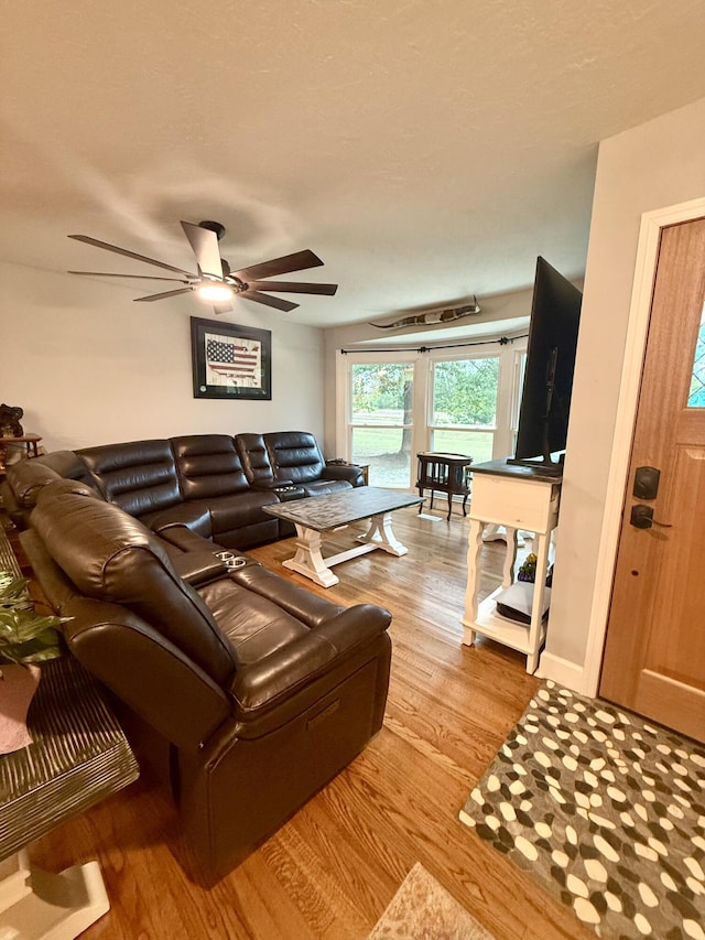 453 SE Harrison Rd, Thomson, GA 30824 - photo 4