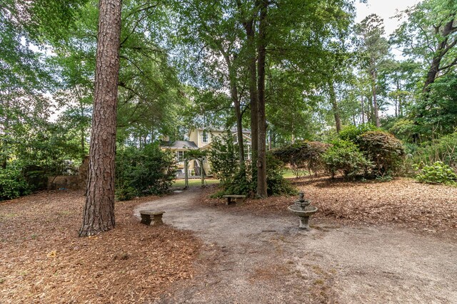1300 Concord Ave, North Augusta, SC 29841 - view of yard