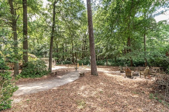 1300 Concord Ave, North Augusta, SC 29841 - view of yard with a fire pit
