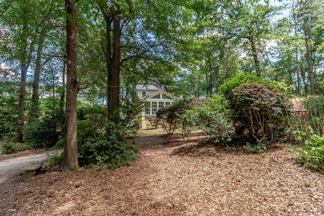 1300 Concord Ave, North Augusta, SC 29841 - view of yard